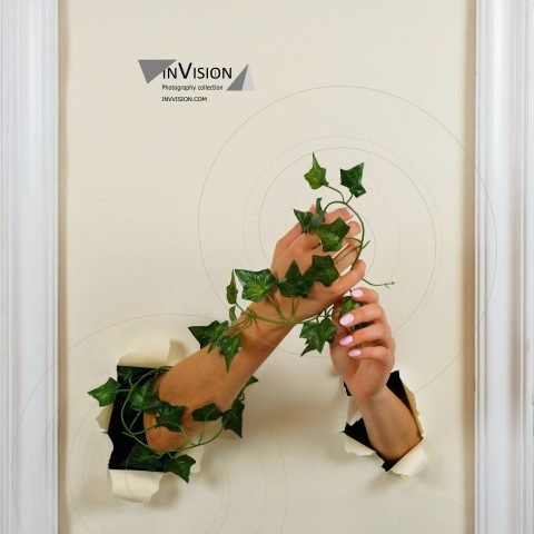 hands out of the painting with bindweed